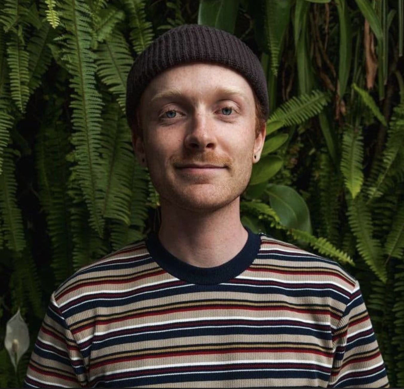 Harrison Sugrue